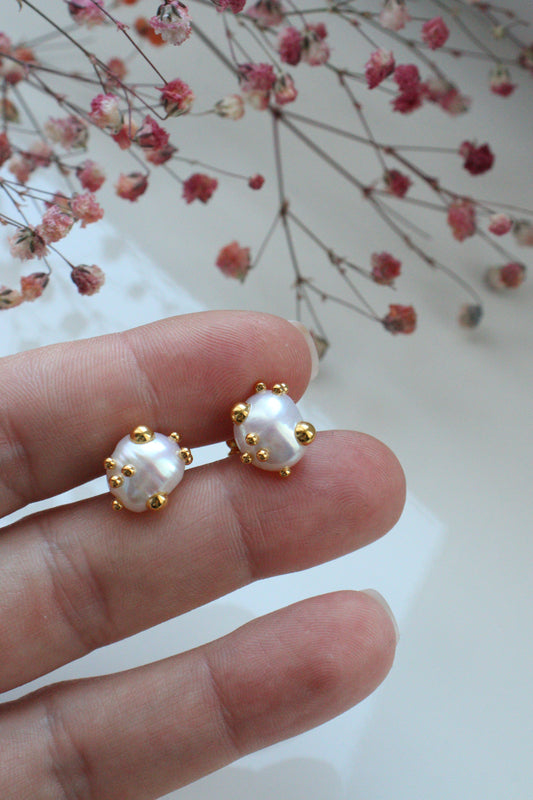 Пусети " Комети"